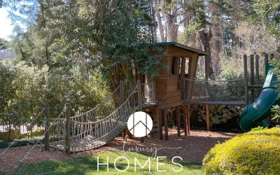 20210129_205349745_iOS