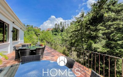 20210924_161208721_iOS (1)