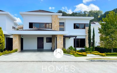 20220302_175208987_iOS