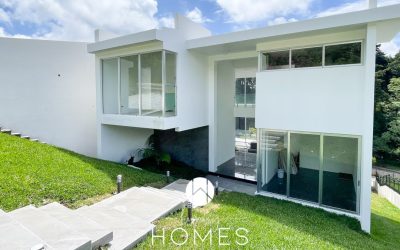 20230620_161113931_iOS