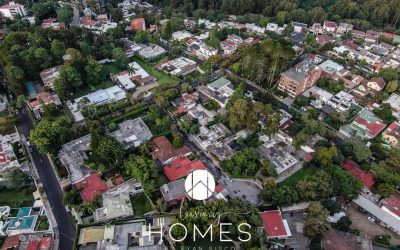 C8FD3381-0C98-4601-8B35-8CC9DF04427C (1)