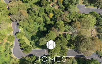 DJI_20241113115742_0578_D (1)