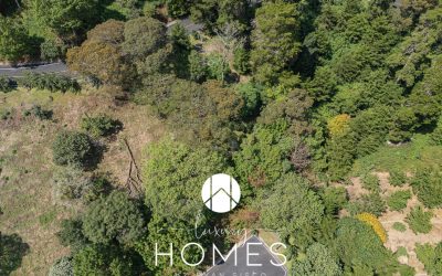 DJI_20241113115810_0579_D (1)