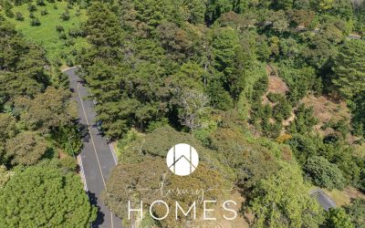 DJI_20241113115836_0582_D (1)