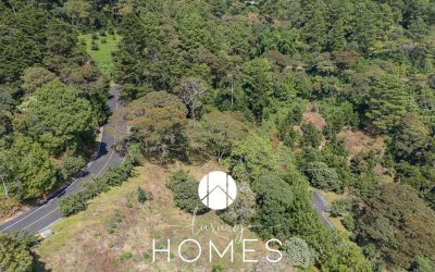 DJI_20241113120214_0585_D (1)