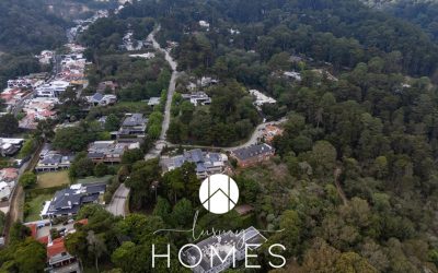 DJI_20250528100335_0326_D