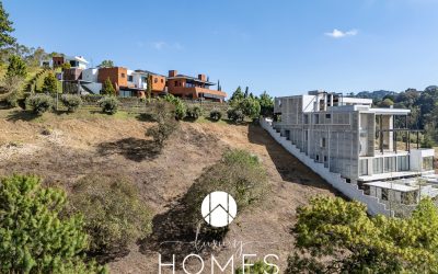 DJI_20260224151504_0681_D