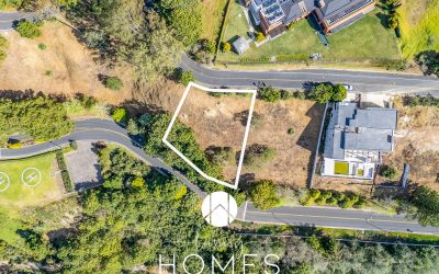 DJI_20260224151631_0685_D-Edit