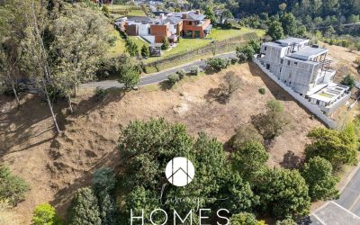 DJI_20260224151851_0692_D