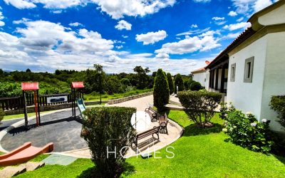 PSX_20190708_232048 (2)