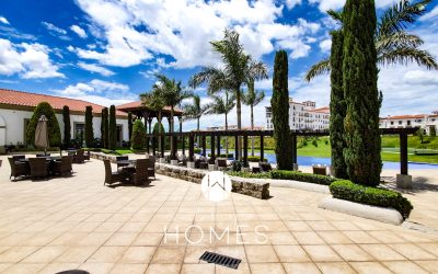 PSX_20190708_232112 (2)